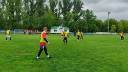 Традиционный турнир по футболу «Кубок ветеранов» прошёл в Ровеньском районе 