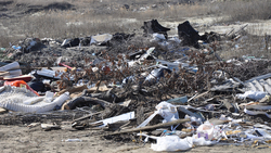 Центр экологической безопасности ликвидировал три свалки мусора в Ровеньском районе