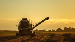 Сельхозпредприятия региона получили более 1 млн тонн зерна