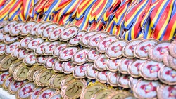 Белгородцы завоевали 13 медалей высшей пробы на чемпионате и первенстве ЦФО по кикбоксингу