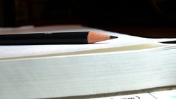 Газета «Ровеньская нива» №4 от 23 января 2025 года 