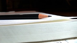 Газета «Ровеньская нива» №10 от 6 марта 2025 года 