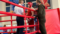 Ровеньские боксёры достойно выступили на региональном первенстве