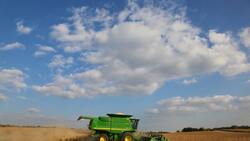 Белгородская область заняла третье место по урожайности зерна в РФ
