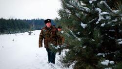 Инспекторы леса и полицейские начали охранять хвойные посадки от незаконной вырубки