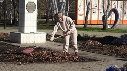 Месячник добровольного служения области вступил в активную фазу в Ровеньском районе 
