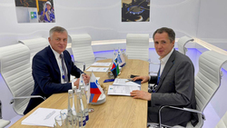 Вячеслав Гладков и Сергей Густов обсудили реализацию программ догазификации региона