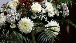 Вячеслав Гладков поздравил супругов Ельчаниновых с 75-летием совместной жизни