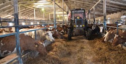 Животноводы хозяйства «Заветы Ильича» Ровеньского района подготовились к зимовке скота