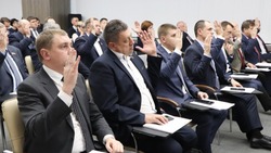 Депутаты Белгородской Облдумы утвердили награду для многодетных одиноких отцов