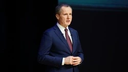 Вячеслав Гладков: разработали единый стандарт мер поддержки ветеранов и участников СВО