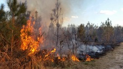 Госинспектор Ровеньского района Максим Майоров: «Сжигание сухой травы и мусора запрещено!»