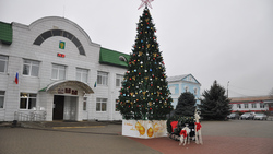 Новогодняя ёлка украсила центральную площадь посёлка Ровеньки