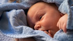Население Ровеньского района увеличилось на 15 новорождённых в июне 2022 года