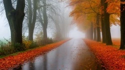 Белгородские синоптики – о погоде в Ровеньском районе