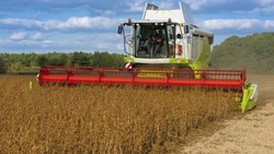 Аграрии Белгородской области приступили к сбору кукурузы и подсолнечника